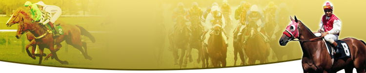 Game Horse Online Racing at Horse Racing
